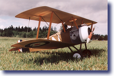 Radio Controlled Model Airplane