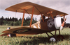 RC Model Camel